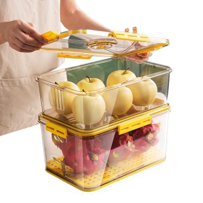 China Keep Fresh Fruit Storage Containers For The Fridge, Timer Crisper Fresh PET Saver Container With Time Slip Lid And Strainer, Stackable for sale