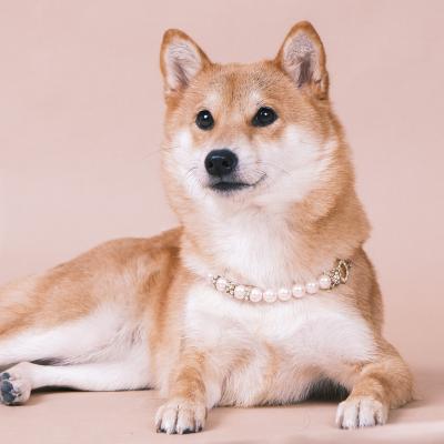 China Jewelry JEWELED Necklace for Dogs and Cats Resin Copper Bead Luxury Customizable Pet Necklace Pendant Chain for sale