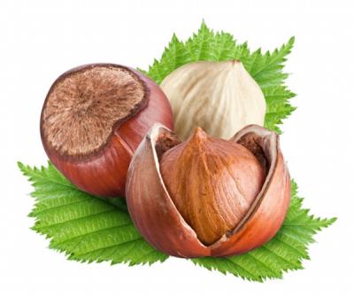 China Fresh health food chestnuts price for sale