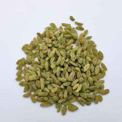 China Dried supplier sell Dubai Afghanistan Uzbekistan importers Indian munakka golden raisins for sale