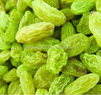 China Dry Raisin in Malaysia for sale