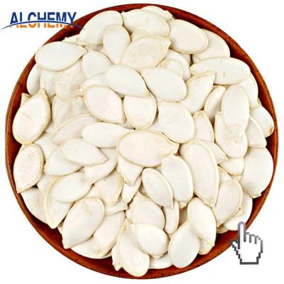 China Organic Snow Pumpkin Seed Dry White Price for sale