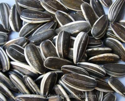 China Dry Chinese Black White Raw Sunflower 5009 361 Seed Kernel Price for sale