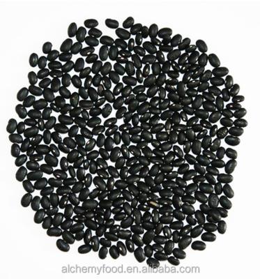 China Dried black eyed midget matpe beans for sale