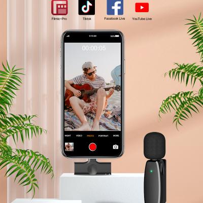 China Wireless Interview Disk Live Steam Headset Microphone Microphone Short Video Online Teaching for sale