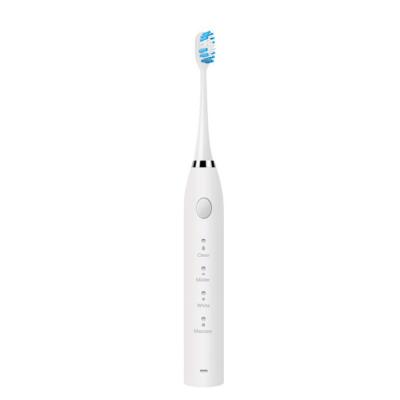 China Newest Teeth Cleaning OEM Electric Toothbrush Rechargeable Sonic Electric Thick Bristle Toothbrush Travel for sale