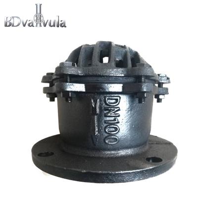 China Factory wholesale price general suction valve used for water pump cast iron material for sale