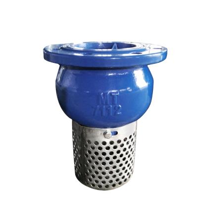 China General Ductile Iron With Flange Medium Pressure Water Foot Valve for sale