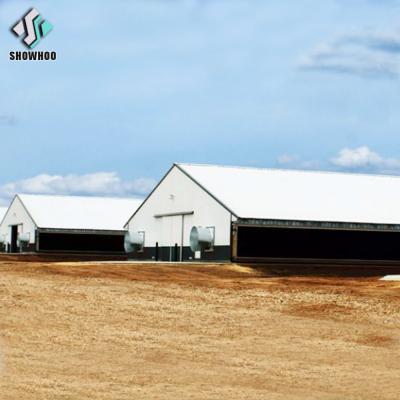 China Chicken House Low Cost Ordered Narrow Steel Structure Poultry Shed Chicken Farm House For 10000 Chickens for sale