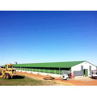 China Modern Prefab Steel Structure Designs Pierd Construction Chicken Poultry House for sale