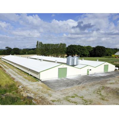 China Closed House System Iron Sheet Structure Poultry House Structural Steel Fabricated Steel Building for sale