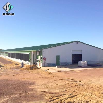 China Commercial Poultry House Poultry Farm Steel Structure Poultry Farm Chicken Houses Design Types for sale