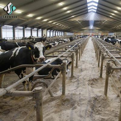 China Modern Durable Beef Cattle Farm House Dairy Milk Cow Farm Building Shed Design for sale