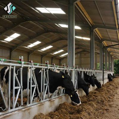 China Modern Durable Cattle And Dairy Cow Farm House Beef Farm Building Design for sale