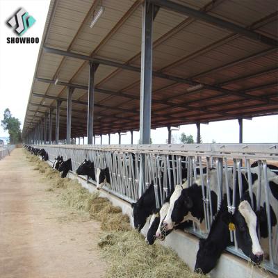 China Steel Fabricated House Light Steel Structure Cow Farm Building Prefab Cowshed For Sale for sale