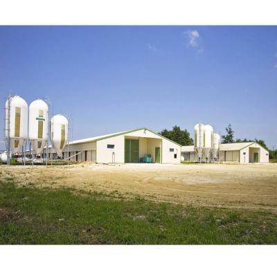 China Farm Steel Structure Layer Egg Farm Design Prefab Chicken House for sale