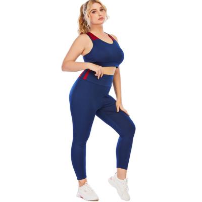 China China Supplier Breathable Women Plus Size Sports Yoga Set Logo Plus Size Activewear Custom Yoga Shorts And Sports Bra for sale