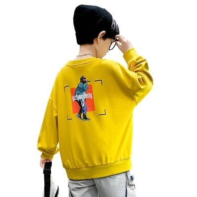 China High Quality Drop Shrink Anti-shrink Hoodies Fashionable Design Kids Clothing Teen Swearshirts For Boy for sale