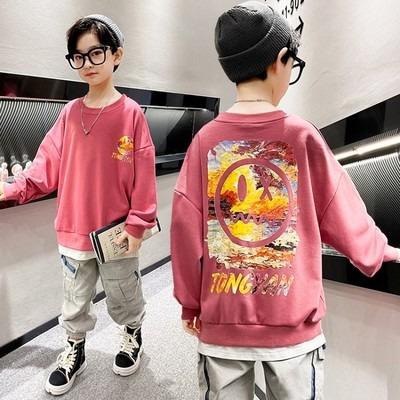 China High Quality Drop Shrink Anti-shrink Hoodies Fashionable Design Kids Clothing Teen Swearshirts For Boy for sale