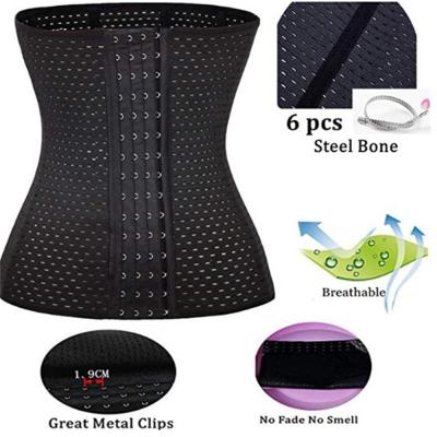 China ZRWK24 Eco-friendly Belt Cincher Trimmer Waist Trainer Sweat Belt Men Women Shapewear Gym Body Shaper for sale