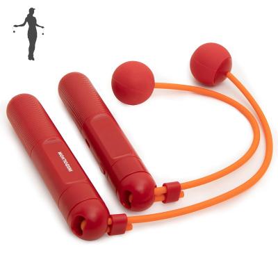 China Hot Sale 2023 Exercise 2 In 1 LED Display Electric Digital Wireless Smart Counter Jump Rope For Fitness for sale