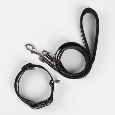 China Viable New Style Dog Leash Drawing Rope High Density Nylon Knitting Outdoor Dog Leash for sale