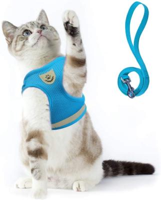 China Padded Cat Harness and Walking Leash Set Soft Mesh Adjustable Cat Vest Harness with Reflective for sale