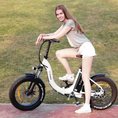 China Aluminum Alloy OEM Bike Manufacturers Trust 1000w High End Fat Bike City Electric Bike Electric Bike Tour for sale