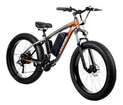 China Aluminum alloy exquisite appearance 350w fashion new 26 inch fat tire electric bike for sale