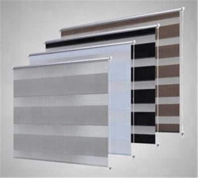 China Eco - Friendly Zebra Shades Roller Curtain Window Blind Blackout for sale