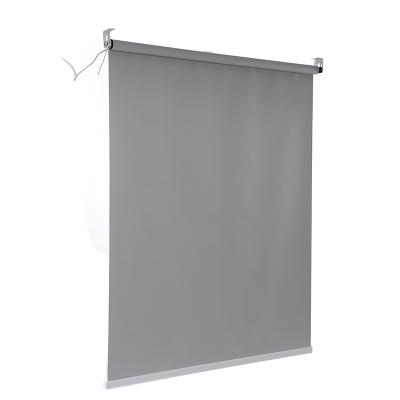 China Fireproof Blackout Window Roller Shades And Automatic Motorized Curtains Roller Blinds For Large Windows for sale