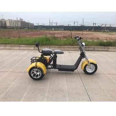 China Big Three Wheel 1000W Electric Scooter Amoto 2020 Newest Unisex High Quality Cheap Design for sale