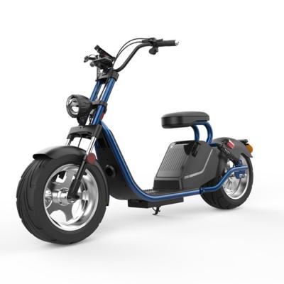 China Amoto 2019 newest 2 wheel citycoco 1500W electric citycoco popular US Europe 13 water flight for sale