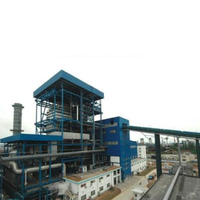 China DTEC Horizontal Biomass And MSW Industrial Power Plant Boilers Boiler for sale