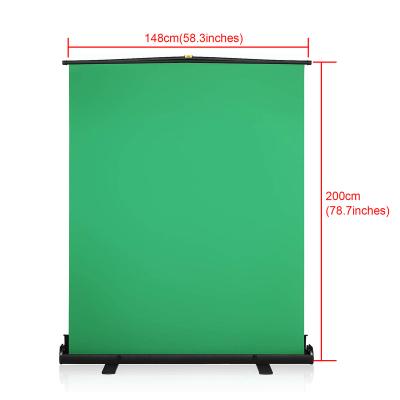 Cina Portable SOLID COLOR 58.3x78.7inches Green Studio Photography Screen Photo Backdrop Background For Video Studio Shoot in vendita