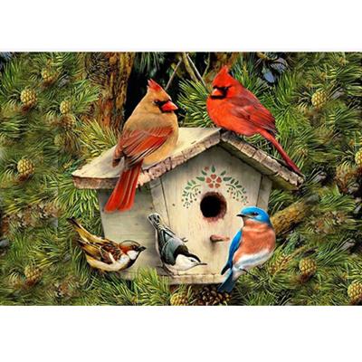 China CLASSIC 40*30cm Round And Square Diamond Painting Bird Animal Painting For Kids Adult for sale