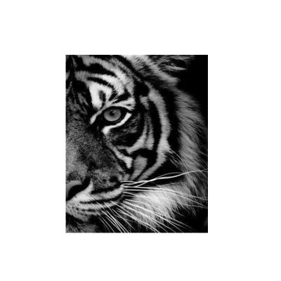 China Wholesale New CLASSIC 5D DIY Diamond Mosaic Home Wall Decoration Tiger Diamond Painting for sale