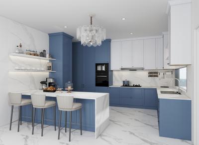 Cina Armadietti da cucina in lacca personalizzati Disegno moderno con Kitchen Island Armadietto da cucina moderno in vendita