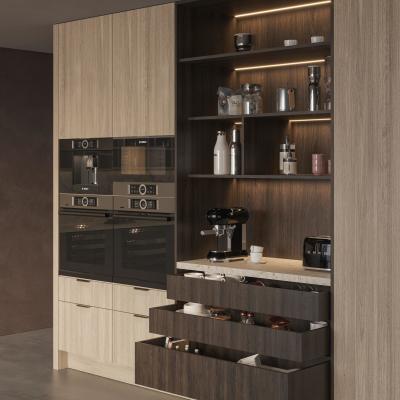 China OEM New Modern Matte Finished Luxury Villa Kitchen Cabinet Designs Hot Selling Lacquer Kitchen Cabinets zu verkaufen