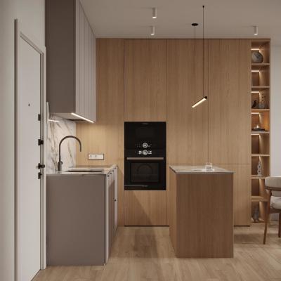 China Factory Price Kitchen Units Hotel Small Kitchen Apartment Kitchenette with Led Lighting for sale