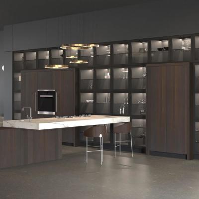 Cina Mobili da cucina di lusso In legno per pareti appese Smart Custom Home Modulare Armadio da cucina Moderno Design in vendita