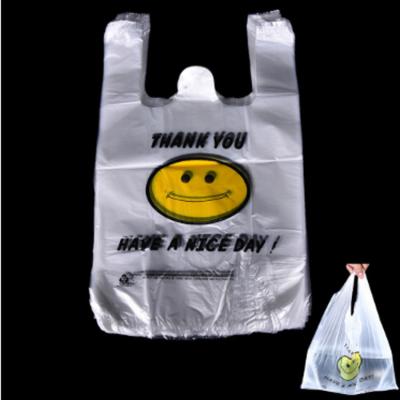 China Quality Recyclable Guaranteed Custom Printed Biodegradable Plastic Shopping Bag Netting for sale