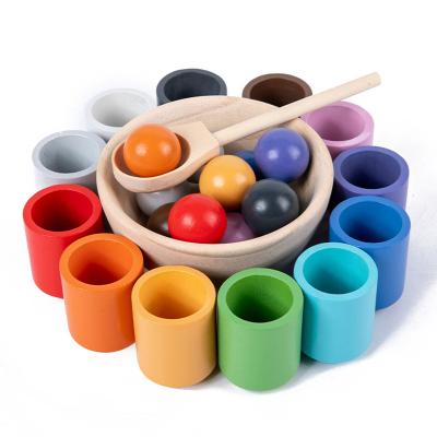 China Eco-Friendly Decompression Balls In Cups Large Montessori Toy Wooden Sorter Game Color Matching And Counting Preschool Learning Education for sale