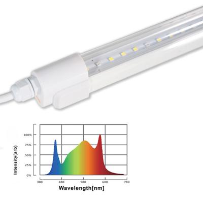 China Seed starting tape seeding vegetative tube wholesale led to grow light for sale