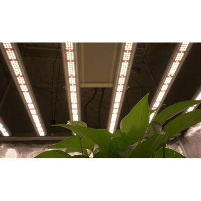 China Seed Starting China Manufacturer Led Grow Light Bar, 640W 720W 1000W Led Grow Light Bar for sale