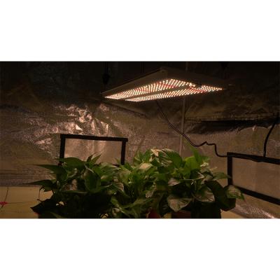 China Seed Starting Aluminum Alloy Indoor Full Spectrum 240W 300W Full Spectrum Led To Grow Light 320W 330W for sale