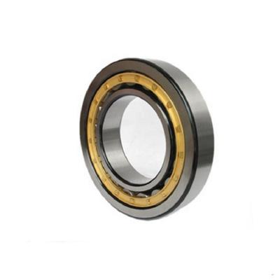 China Full Line Cheap Single Row Long Life Price NJ204 NF305 N310 NU224 NU314 NUP307 RN309 Cylindrical Roller Bearing Manufacturers for sale