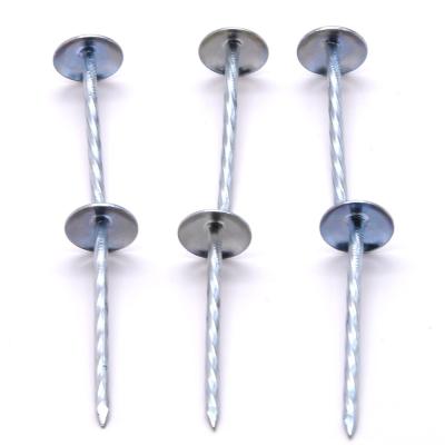 China Umbrella China Factory Direct Sales Galvanized Umbrella Head Roof Nails Cover Nail Twisted Leg for sale