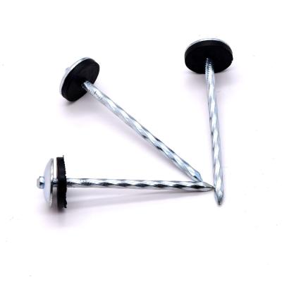 China Hot Sale Umbrella Head Covering Rubber Seal Umbrella Galvanized Roofing Nail Nails for sale