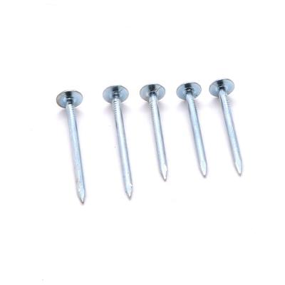 China High Quality Hot Dipped Flat Galvanized Big Iron Flat Head Nails Clips Cupper Nails for sale